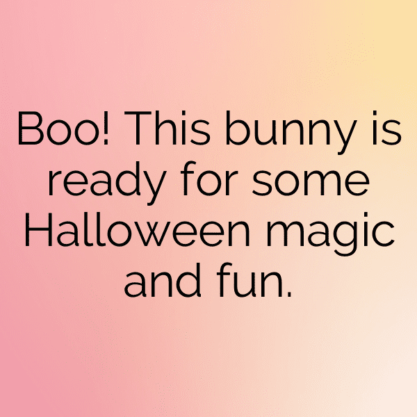 303+ Rabbit Captions For Instagram In 2025 14 Rabbit Captions Photo For Instagram-TFqZTb