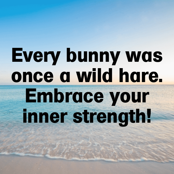 303+ Rabbit Captions For Instagram In 2025 17 Rabbit Captions Photo For Instagram-ubXAUf