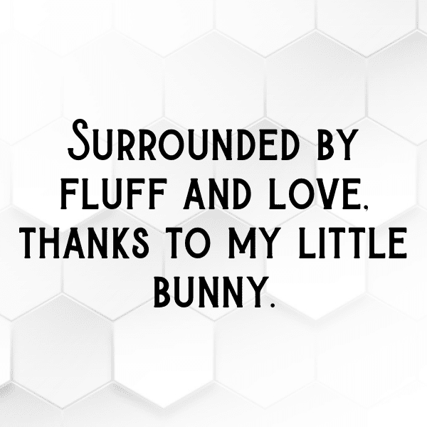 303+ Rabbit Captions For Instagram In 2025 9 Rabbit Captions Photo For Instagram-wsveBu