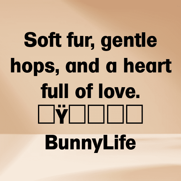 303+ Rabbit Captions For Instagram In 2025 13 Rabbit Captions Photo For Instagram-X7oKbl