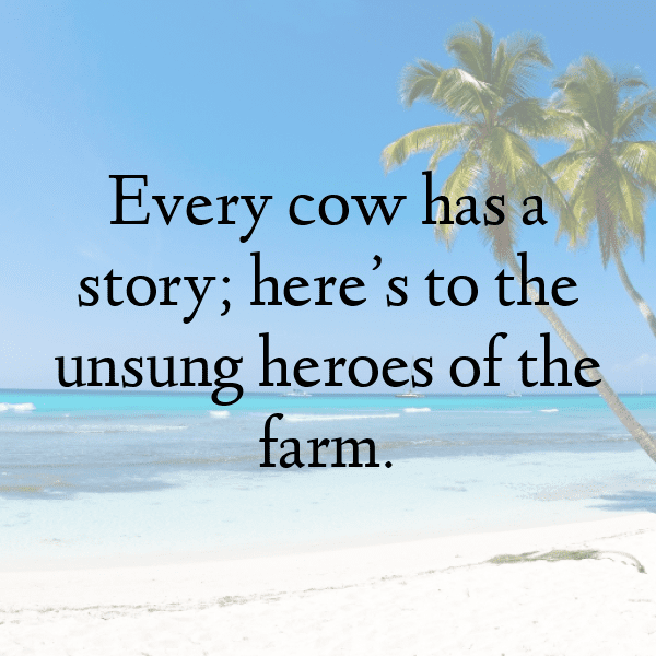 217+ Raccoon Captions For Instagram In 2025 8 Raccoon Captions Image For Instagram-JBlWTQ