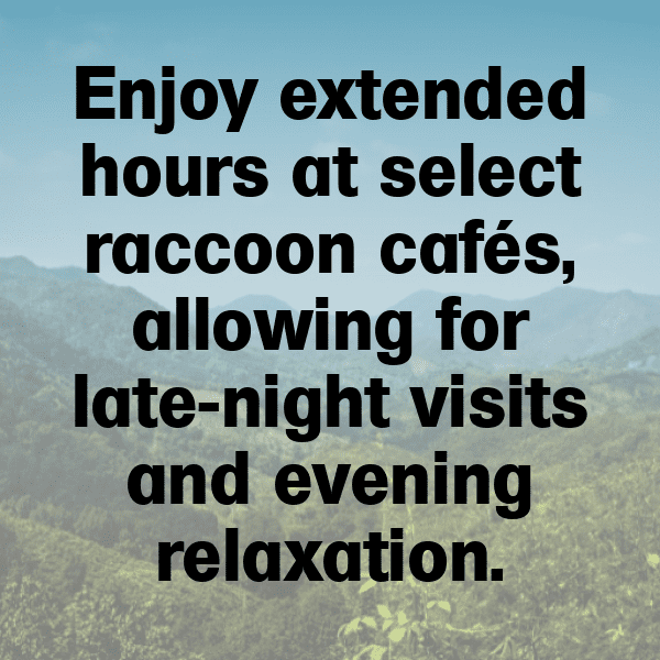 217+ Raccoon Captions For Instagram In 2025 10 Raccoon Captions Photo For Instagram-thO2P8