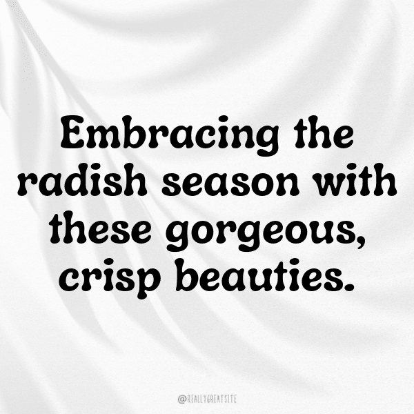 Radish Captions Photo For Instagram-LaIwJ3