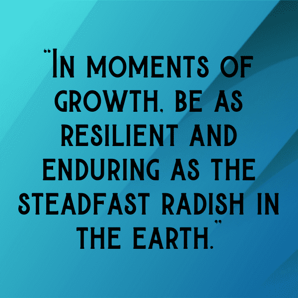 Radish Captions Photo For Instagram-OBmh3p