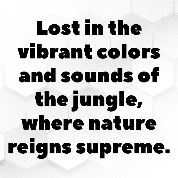 231+ Rainforest Captions for Instagram (Trending, Funny & Top) 12 Rainforest Captions Image for Instagram-5rkvaY