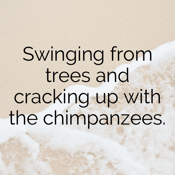 231+ Rainforest Captions for Instagram (Trending, Funny & Top) 17 Rainforest Captions Image for Instagram-C0NPlS