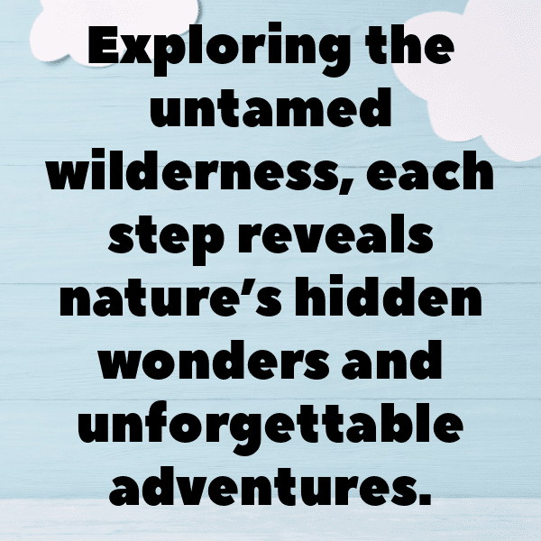 231+ Rainforest Captions for Instagram (Trending, Funny & Top) 19 Rainforest Captions Image for Instagram-iIaP05