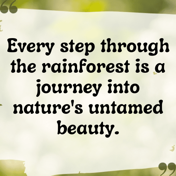 231+ Rainforest Captions for Instagram (Trending, Funny & Top) 5 Rainforest Captions Image for Instagram-U3gLm5