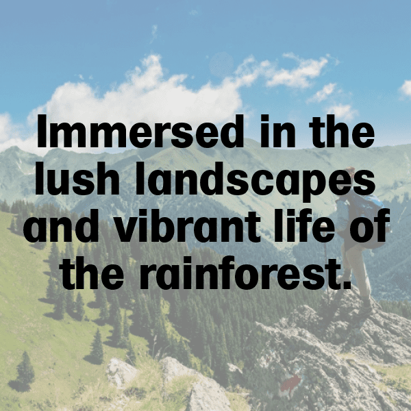 231+ Rainforest Captions for Instagram (Trending, Funny & Top) 3 Rainforest Captions Photo for Instagram-4gVOzt