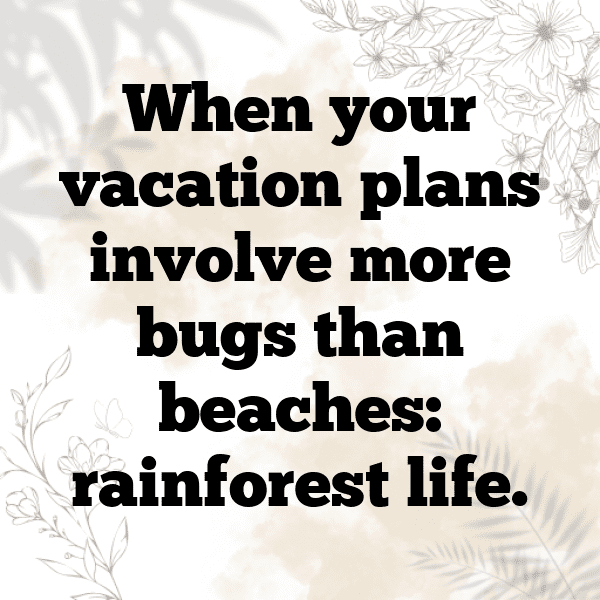 231+ Rainforest Captions for Instagram (Trending, Funny & Top) 4 Rainforest Captions Photo for Instagram-aOPaUZ