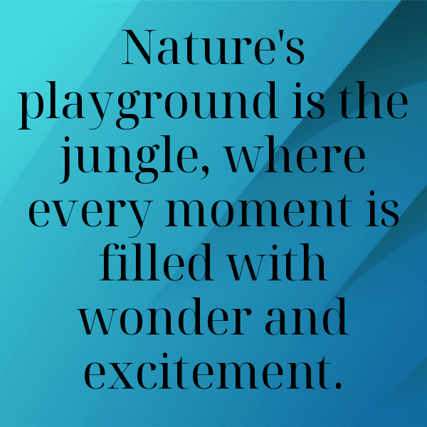 231+ Rainforest Captions for Instagram (Trending, Funny & Top) 16 Rainforest Captions Photo for Instagram-cUyFnH