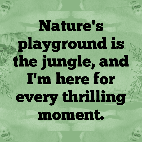 231+ Rainforest Captions for Instagram (Trending, Funny & Top) 18 Rainforest Captions Photo for Instagram-izhAau