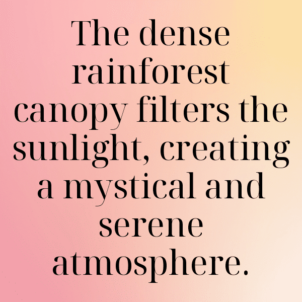 231+ Rainforest Captions for Instagram (Trending, Funny & Top) 20 Rainforest Captions Photo for Instagram-VCYZLB