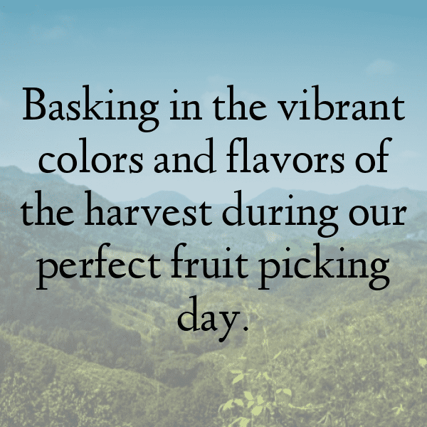 Rambutan Captions Photo For Instagram-N5ZCHk