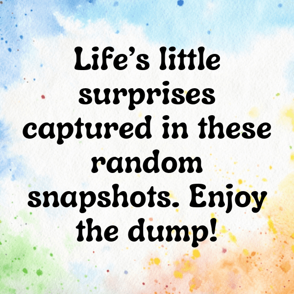 225+ Random Photo Dump Captions For Instagram (Short, Trending & Viral) 18 Random Photo Dump Captions Image For Instagram-19Di6n