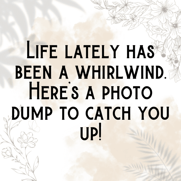 225+ Random Photo Dump Captions For Instagram (Short, Trending & Viral) 11 Random Photo Dump Captions Photo For Instagram-124N4U