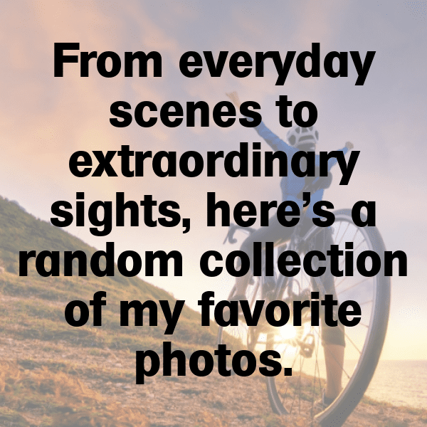 225+ Random Photo Dump Captions For Instagram (Short, Trending & Viral) 14 Random Photo Dump Captions Photo For Instagram-cGkfF8