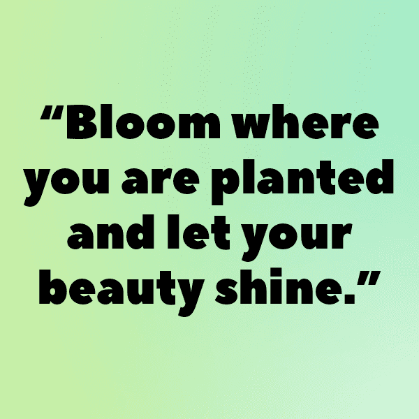 Ranunculus Captions Image For Instagram-F8DRbH