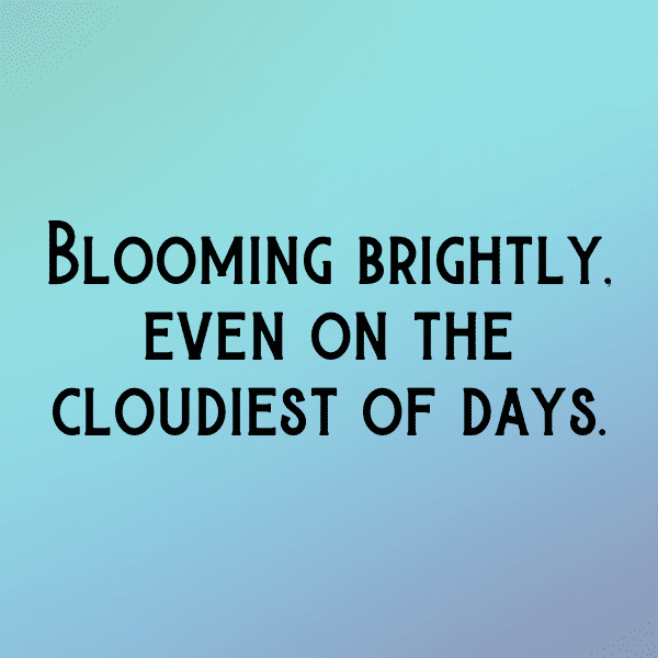 Ranunculus Captions Photo For Instagram-8wu4SF