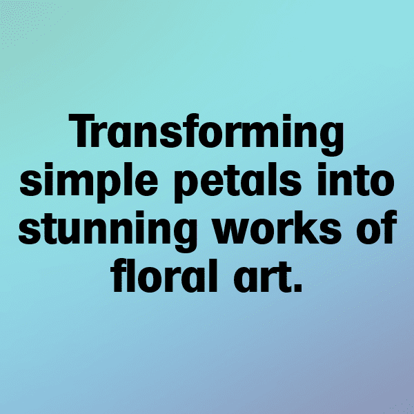 Ranunculus Captions Photo For Instagram-Rf4Z0l