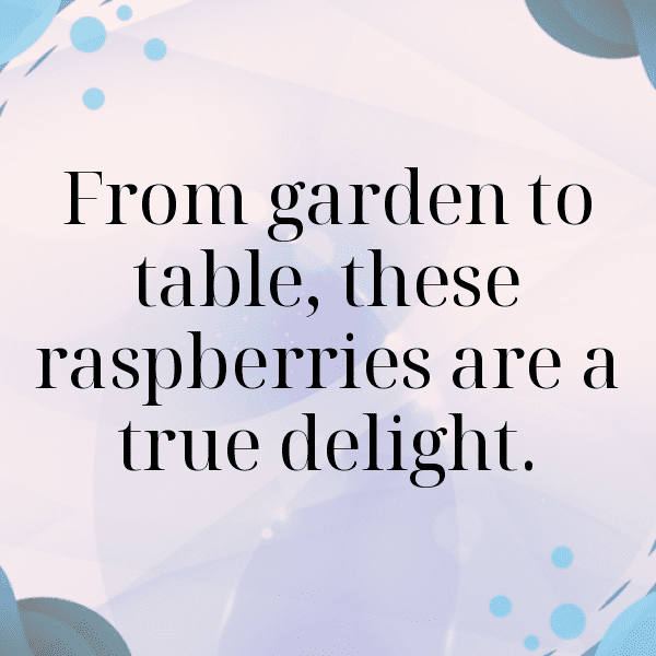 Raspberry Captions Image For Instagram-dkhL1z