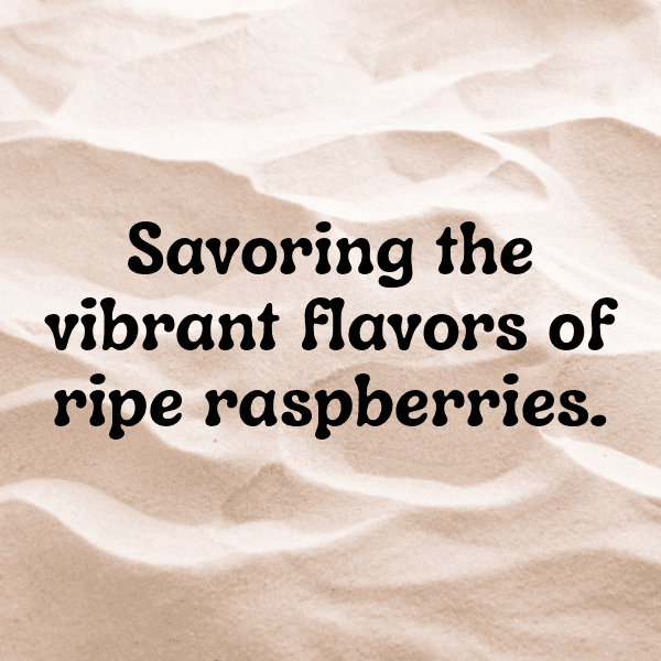 Raspberry Captions Image For Instagram-IQ3d1D