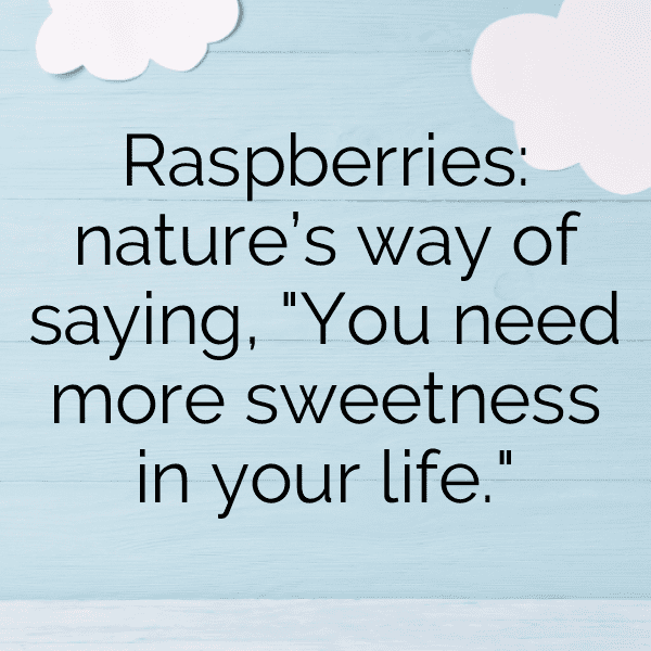 Raspberry Captions Image For Instagram-nPtrbM