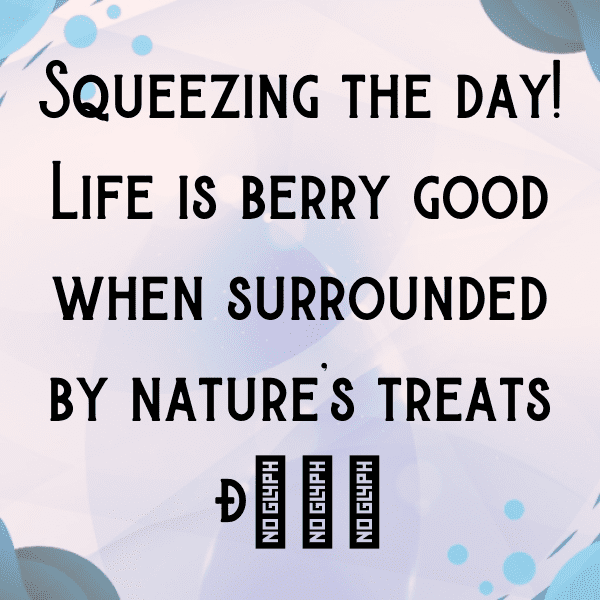 Raspberry Captions Image For Instagram-USUC8M