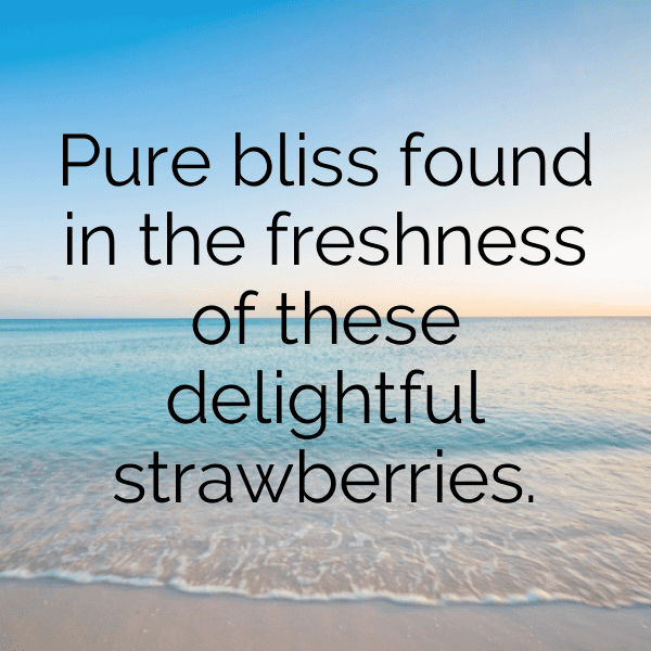 Raspberry Captions Photo For Instagram-Cml9oy