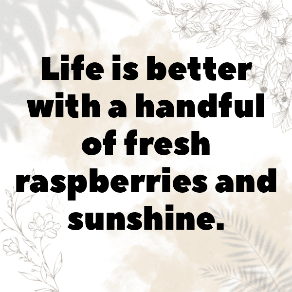 Raspberry Captions Photo For Instagram-XNtmsP