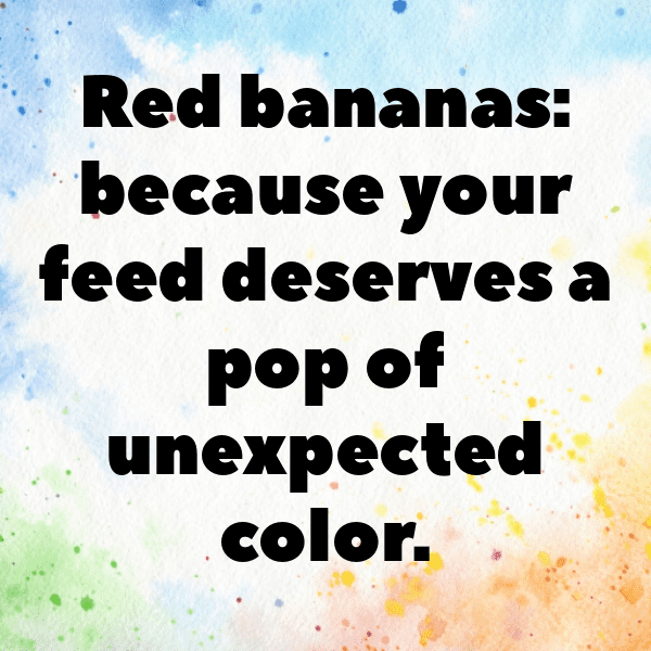 Red Banana Captions Photo For Instagram-cTff0S
