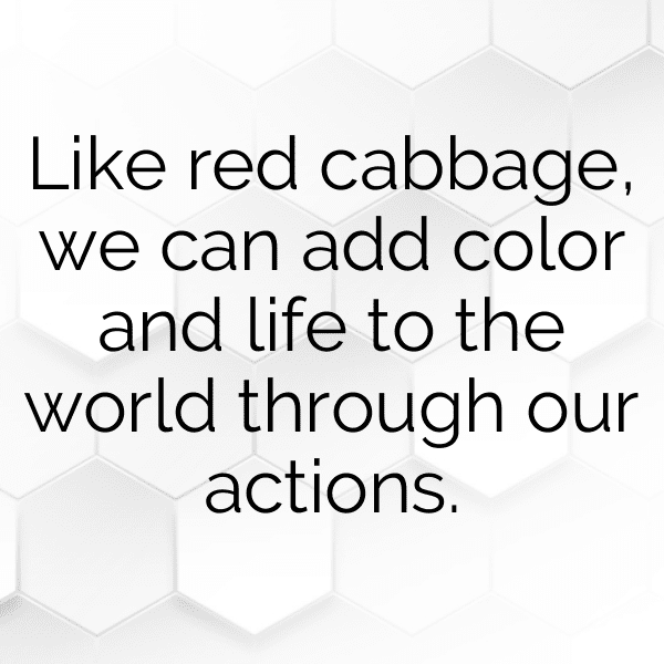 228+ Red Cabbage Captions For Instagram (Short, Trending & Viral) 11 Red Cabbage Captions Image For Instagram-AcH1w8