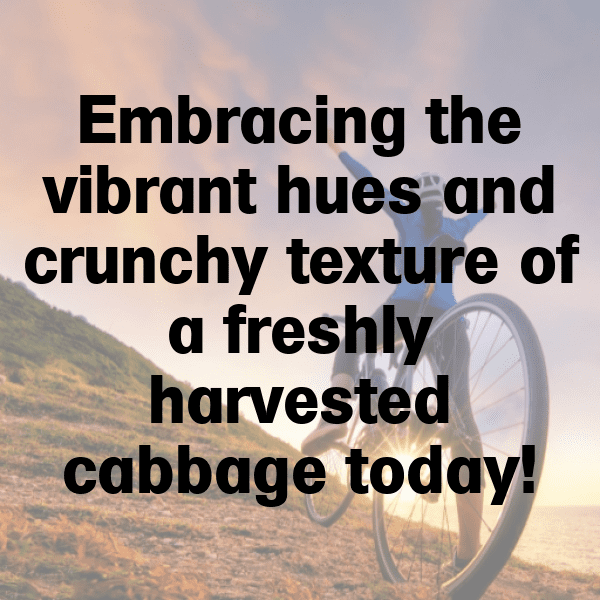 228+ Red Cabbage Captions For Instagram (Short, Trending & Viral) 10 Red Cabbage Captions Image For Instagram-oSgiCU