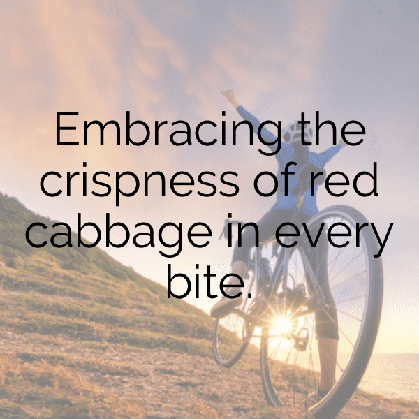 228+ Red Cabbage Captions For Instagram (Short, Trending & Viral) 7 Red Cabbage Captions Photo For Instagram-iC20bC