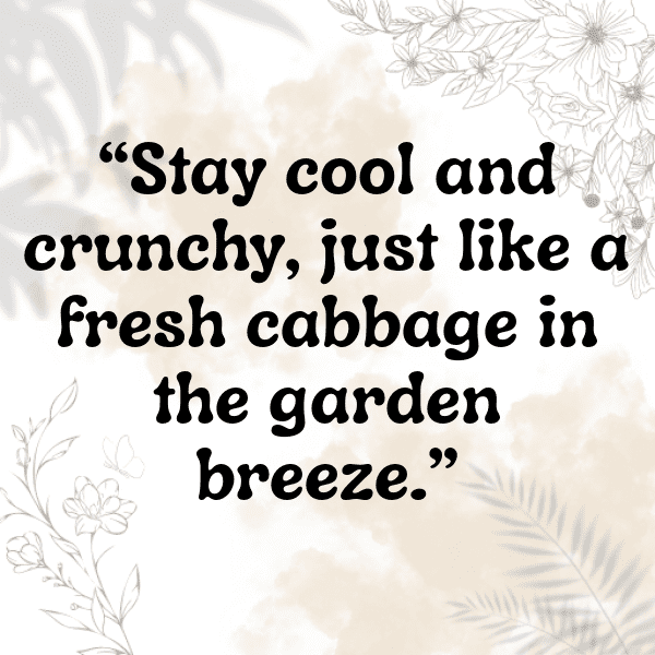 228+ Red Cabbage Captions For Instagram (Short, Trending & Viral) 4 Red Cabbage Captions Photo For Instagram-sQ9eGW