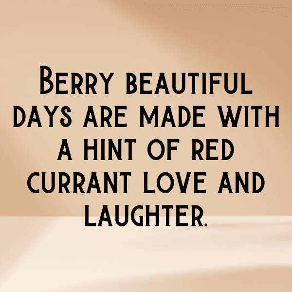 Red Currant Captions Image For Instagram-CTJq6Z