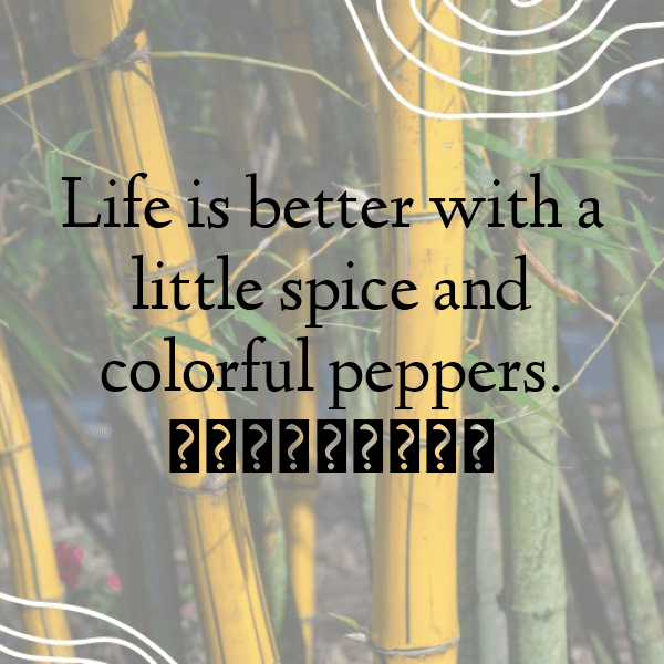 Red Pepper Captions Image For Instagram-osJArE