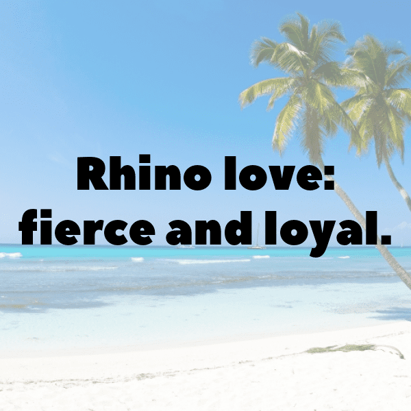 210+ Rhinoceros Captions For Instagram (Trending, Funny & Top) 12 Rhinoceros Captions Photo For Instagram-cpMyR1