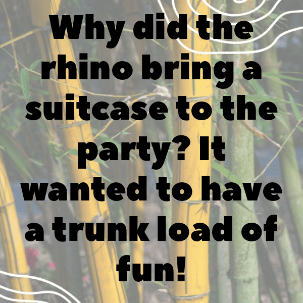 210+ Rhinoceros Captions For Instagram (Trending, Funny & Top) 5 Rhinoceros Captions Photo For Instagram-OPK8gP