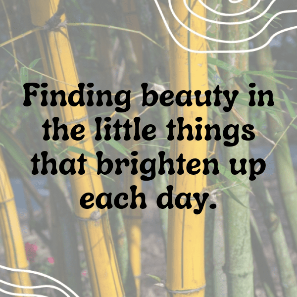 Robin Captions Image For Instagram-EHJcmY