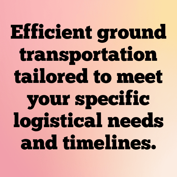 Robin Captions Image For Instagram-zYfDth