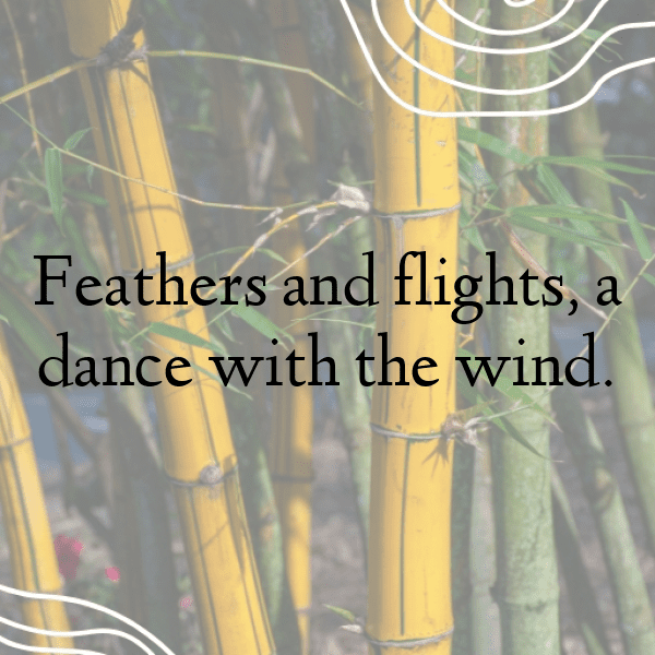 Robin Captions Photo For Instagram-P6Odoe