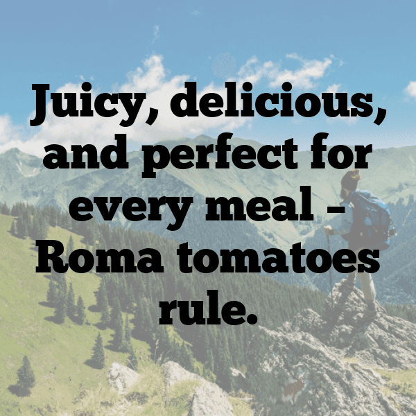 Roma Tomato Captions Photo For Instagram-RHorLt