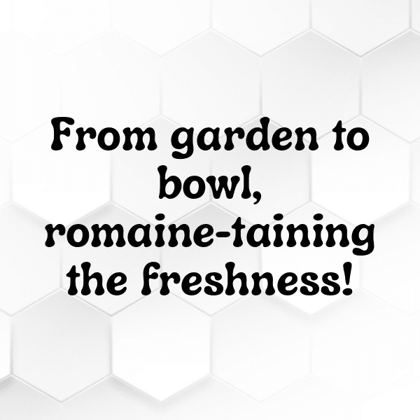 Romaine Lettuce Captions Image For Instagram-WiyVdw