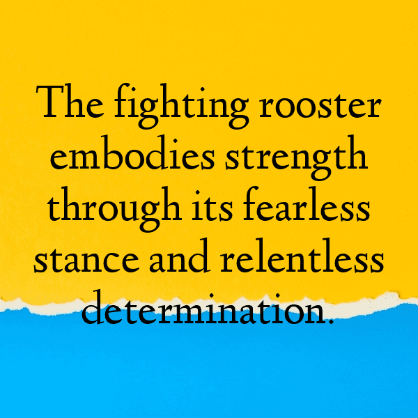 Rooster Captions Image For Instagram-llckkC