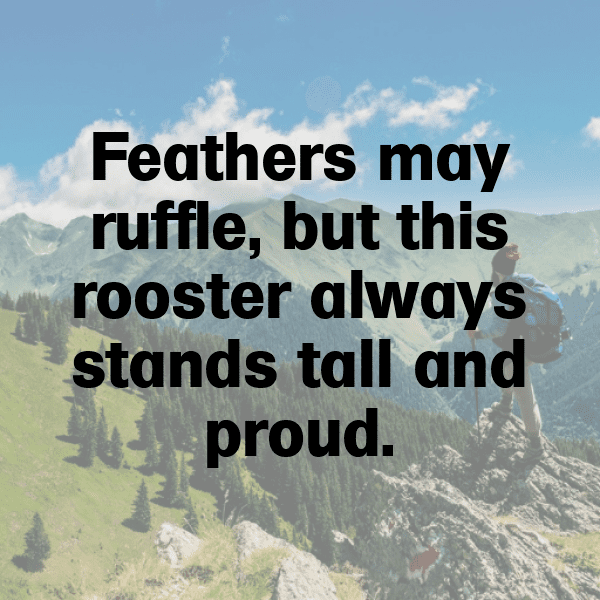 Rooster Captions Image For Instagram-nkjbW9