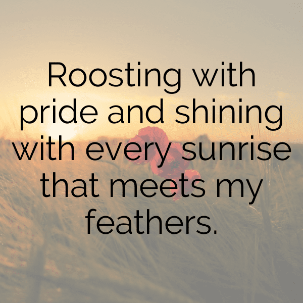 Rooster Captions Photo For Instagram-5QBxSd