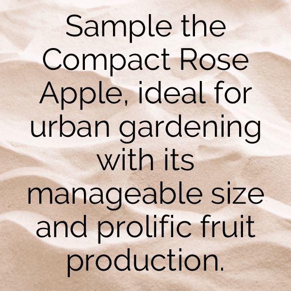 Rose Apple Captions Photo For Instagram-BZGRlT