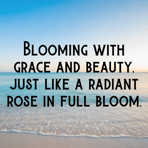 250+ Rose Captions For Instagram (Best, Funny & Short) 6 Rose Captions Image For Instagram-HG8x0Q