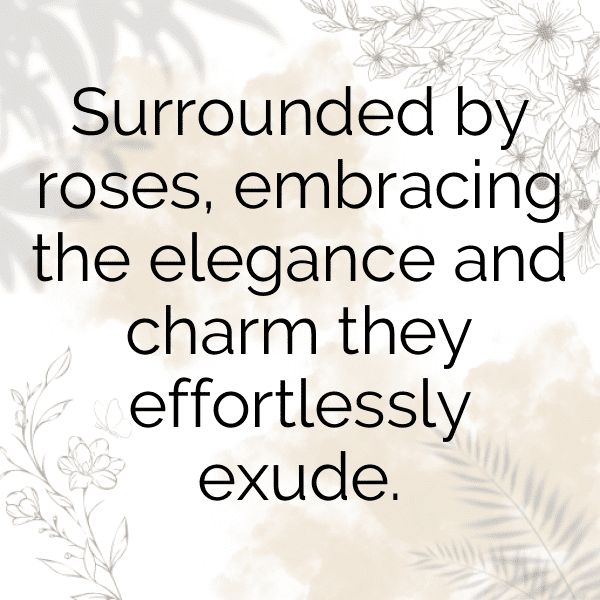 250+ Rose Captions For Instagram (Best, Funny & Short) 3 Rose Captions Image For Instagram-ObCZzh